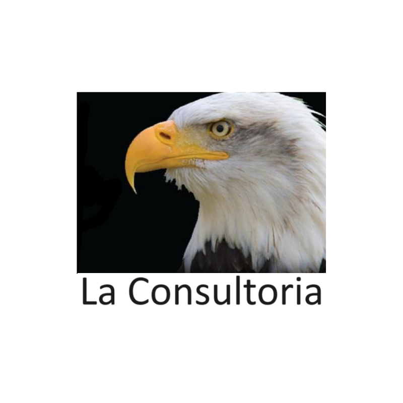 La Consultoria